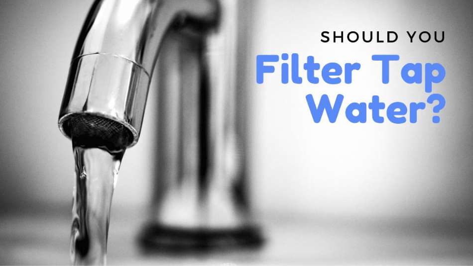 Should you filter tap water?