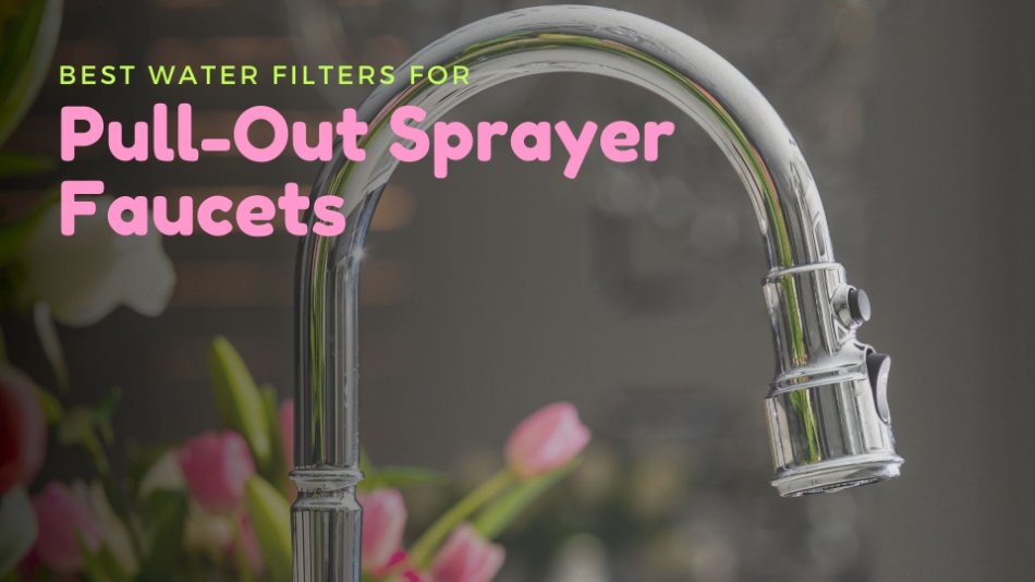 Pull out sprayer faucet water filter