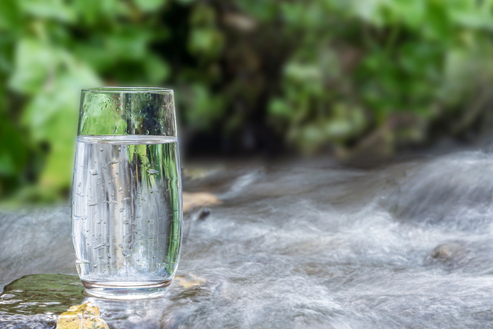 A glass of water sitting on a rock in a spring.