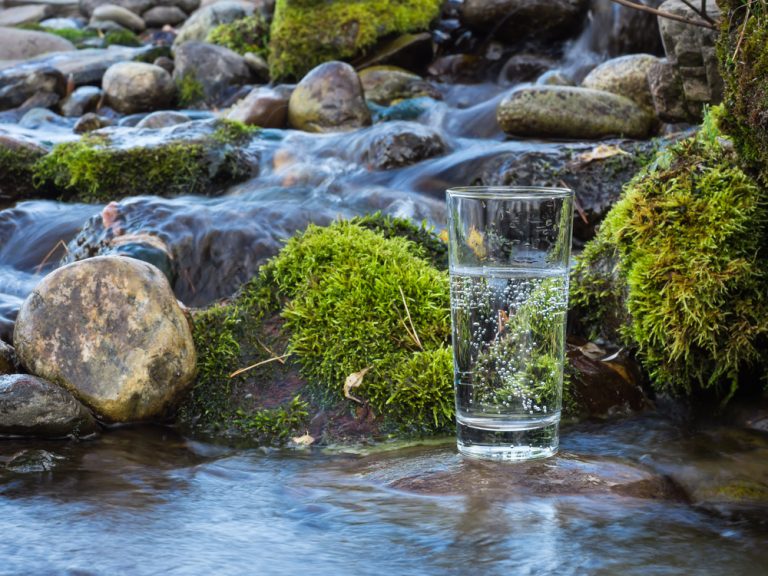 Is Spring Water Safe To Drink?
